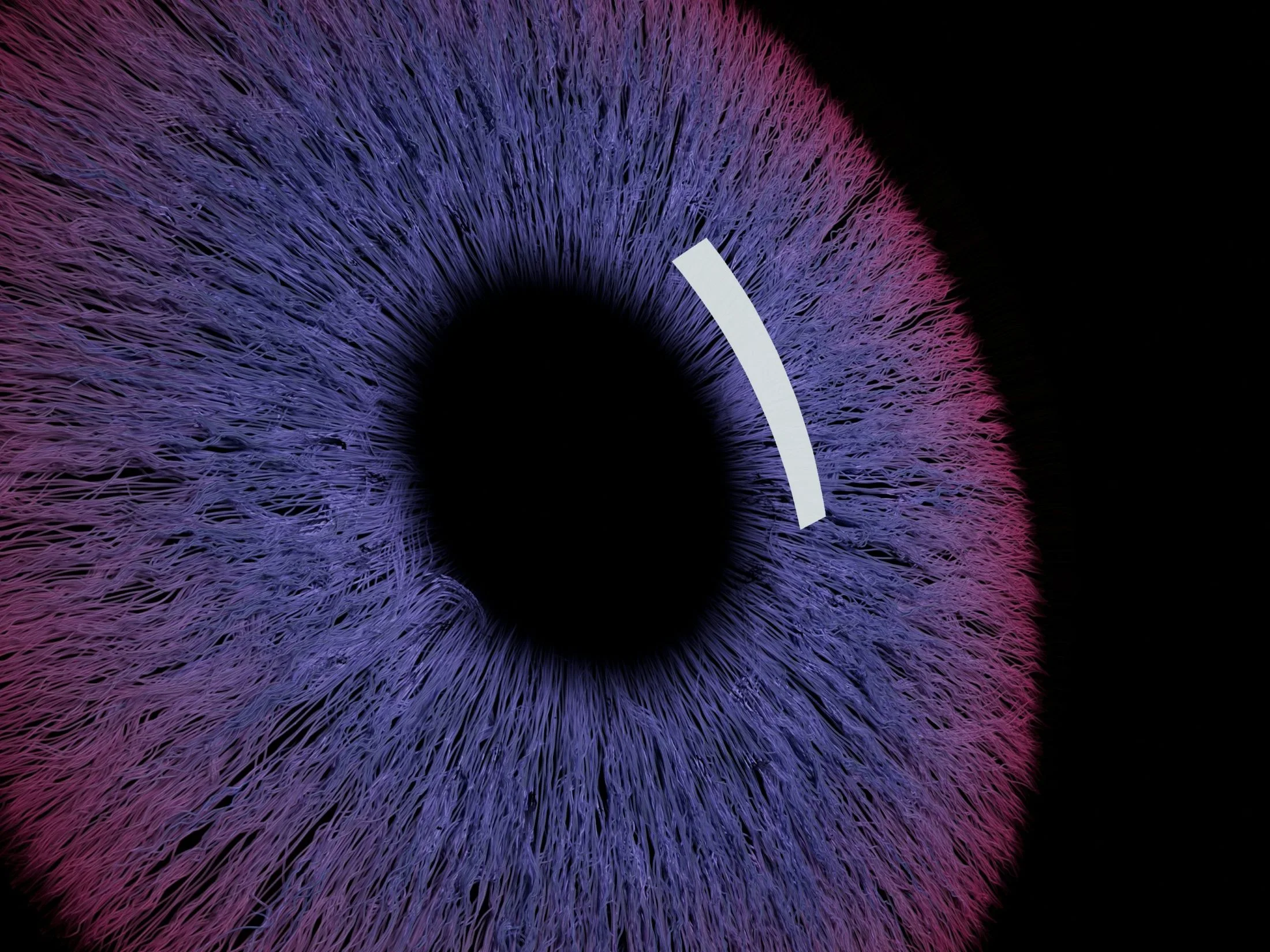 wealth manager reviewing AI financial dashboard